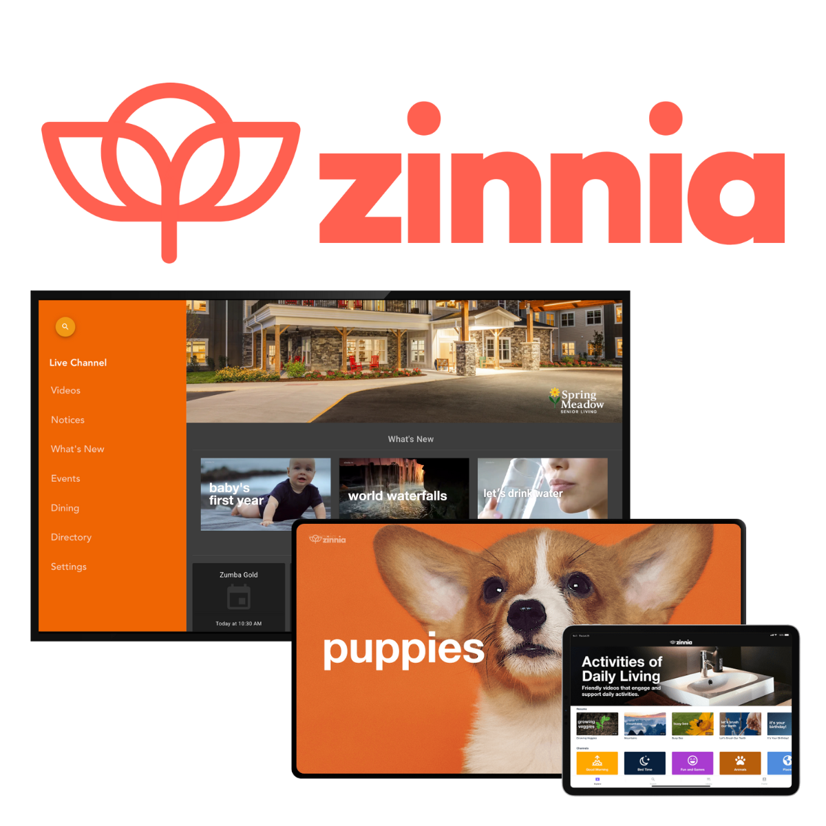 zinnia landing page image